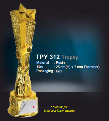 TPY 312